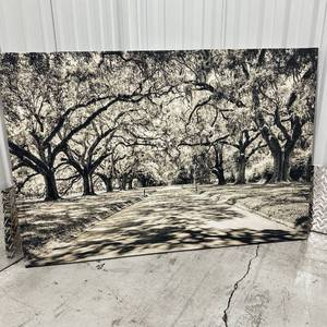 lot 82 image: Tree-Lined Road Canvas Wall Art Print Black &amp White 48x31