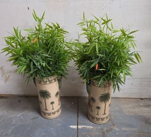 lot 409 image: 2 Decorative Palm-Print Planters with Faux Bamboo Plants.