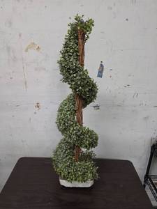 lot 410 image: Spiral Topiary with Small-Leaf Foliage on Woven Stem (no planter, mounted on styrofoam).