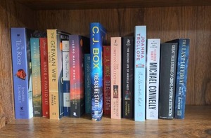lot 565 image: Fiction Books Lot of 16 Titles including The Tea Rose and The Great True Stories