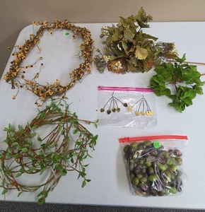 lot 590 image: Dried Botanical Specimen Collection Lot 6 Pieces with Seeds and Foliage