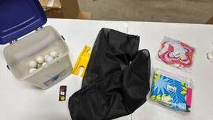 lot 687 image: Golf Ball Storage Container with Divot Tool, Mesh Bag for sports ball storage, Pool blow up floating chairs, and a sprinkler stopper
