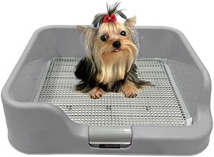 lot 1073 image: DogCharge Indoor Dog Potty Tray   with Protection Wall Every Side for No Leak, Spill, Accident - Keep Paws Dry and Floors Clean (Tray Only, Grey)