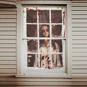 lot 2108 image: Scary Halloween Window Decorations, 31.5  47.2 Female Ghost Curtain, Silhouette with Hanging Accessories, Covers Decoration Indoor Outdoor Drak Grey