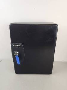 lot 276 image: Sentry Key Lock Security Cabinet