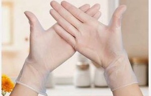 lot 11108 image: LW Concept Vinyl Gloves Powder Free Clear XL 100pc