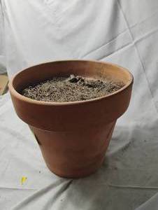 lot 34414 image: Planter for gardening