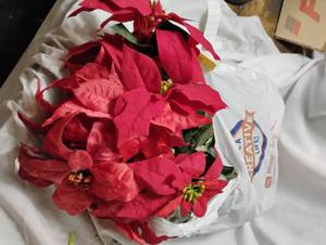 lot 34461 image: Misc Red and Pink flowers