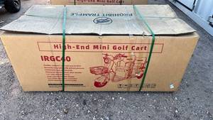 lot 10105 image: IRGC40 High-End Mini Golf Cart&nbsp