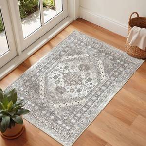 lot 211731 image: 2x3 Rug Non Slip, Small Washable Entryway Rug,Brown