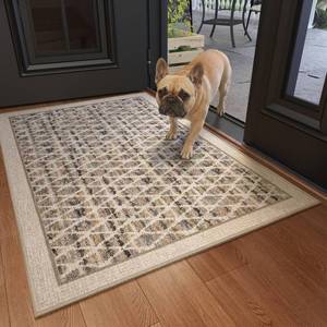 lot 932 image: QiCaiJia Front Door Mat for Washable,Low Pile Mat for Entrance,2x3ft,Beige - Retail $24