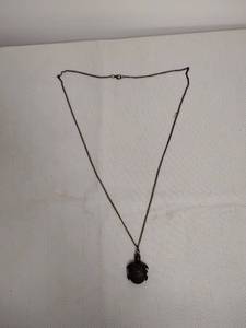lot 39 image: Turtle Pendant Necklace with Chain and Watch Face