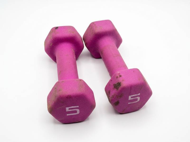 lot 3876 image: 5 lb Neoprene Dumbbell Pair