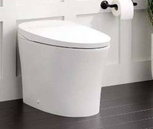 lot 11483 image: Narelle 1.28 GPF One Piece Elongated Toilet