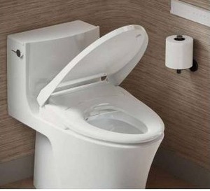 lot 11487 image: Electronic Bidet Toilet Seat with Remote Control