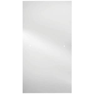 lot 11660 image: Delta Pivot Shower Door Glass Panel 30.4W x 63.1H, (Hardware Kit Not Included)