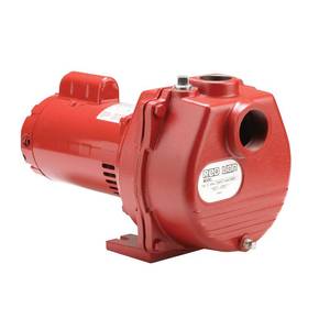 lot 140 image: Red Lion 2 hp 77 GPM Cast Iron Sprinkler Pump - Retail $454
