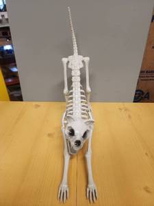 lot 71062 image: Skeleton Cat Figurine  - Retail $10