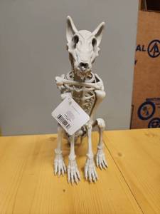 lot 71084 image: Skeleton Dog with Bone - Retail $8