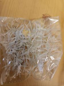 lot 71097 image: Clear Spider Rings 30ct (4Pack) - Retail $5