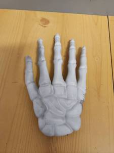 lot 71098 image: Plastic Skeleton Hand (4 Pcs) - Retail $5
