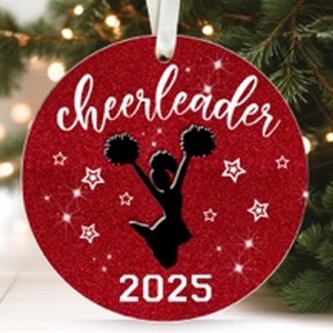 lot 9233 image: Lot of 5 FOURSTUFF Assorted Ornaments- House Ornament -Volleyball Ornaments for Christmas Tree - X2 School Bus ornament - Dinosaur Ornament- Acrylic Christmas Ornament & Card