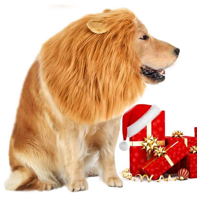 lot 10382 image: Lion Mane Costume for Dog - Lion Dog Costume Lion Wig Funny Adjustable Easy to Fit Medium to Large Sized Dog for Halloween Christmas Party with Ears, Large Dog Costume for Pet as Lion King