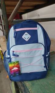 lot 4298 image: Trailmaker Blue & Light Blue Backpack w Pink Accents