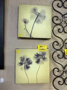 lot 35272 image: Pair of modern x-ray botanical Floral Canvas