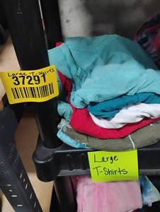 lot 37291 image: WOMENS LARGE T SHIRTS
