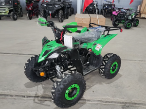 lot 47 image: Vitacci Rider Racer 125cc ATV   Green L7WSCJL5XTC002183&nbsp