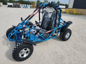 lot 62 image: Vitacci Spider 2-seater 200 KD Go Kart  Blue  Vin L5CSELLD0TM000120
