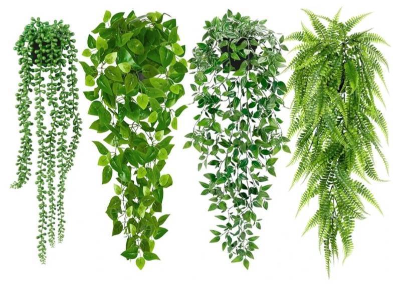 lot 59243 image: Artificial Hanging Plants for Shelf, 4 Pack Fake Potted Greenery Plant Faux Mandala Vine, String of Pearls, Ivy Vine,Persian Grass Fern. POT DAMAGE. - Retail $20