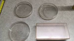 lot 1569 image: Clear Shallow Round Dishes and Rectangular Tray Lot 4 Pieces