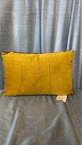 lot 3030 image: Parachute Home Velvet Mini Lumbar Pillow 100% Cotton Shell 12 OZ