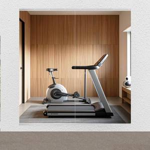 lot 4004 image: Gym Mirror 2 PCS 48 x 24 Inch (Each)