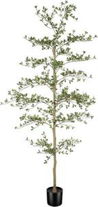lot 4065 image: $130 LYERSE Black Olive Tree 7ft with Natural Trunk and Realistic Leaves