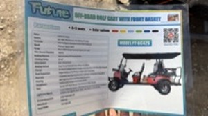 lot 8109 image: Unused Future FT-GC42S Off-Road Golf Cart - Green