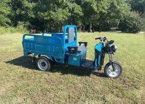 lot 1018 image: Unused 2026 IRET13 Electric Tuk Tuk - Color options - Black, Dark Green, Gray, Blue