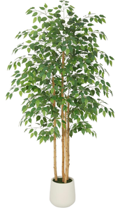 lot 257 image: 6ft Ficus Tree Artificial with Multi-Real Wood Trunks & White Planter, 72in Realistic Texture Potted Faux Ficus Tree, Fake Trees Indoor for Home Office Living Room Bedroom Porch Decor - Retail $120