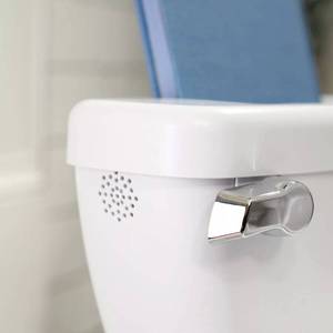 lot 2405 image: InGenuity My Size Potty Pro