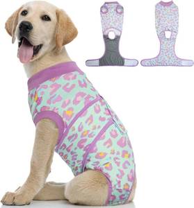 lot 2537 image: Kuoser Dog Recovery Suit After Surgery, Spay Neuter Surgical Suit for Dogs