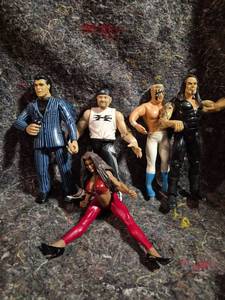 lot 14 image: Wrestling Action Figures Lot of 5 Collectible Figures