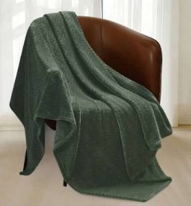 lot 10145 image: Monte & Jardin Jacquard Throw Blanket Green