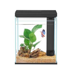 lot 1449 image: Betta Fish Tank, 2 Gallon Glass Aquarium Starter Kit, Small Fish Tank with Filter and Light. - Retail $41