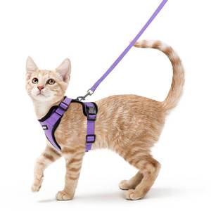 lot 1457 image: rabbitgoo Cat Harness and Leash Set, Escape Proof Vest, Light Purple XS - Retail $20