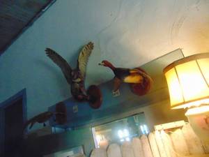 lot 3957 image: RedHead Taxidermy 