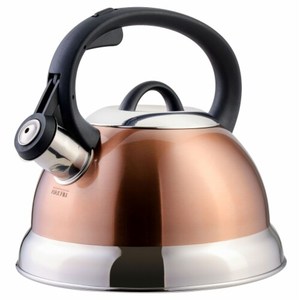 lot 1010 image: Mr. Coffee Flintshire 1.75-Qt Stainless Steel Whistling Tea Kettle- Copper