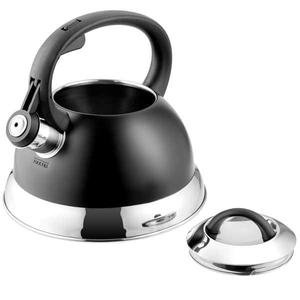 lot 1031 image: Mr. Coffee Flintshire 1.75-Qt Stainless Steel Whistling Tea Kettle- Matte Black