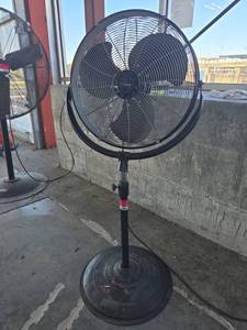 lot 14865 image: Utilitech Oscillating Pedestal Fan 20 Inch